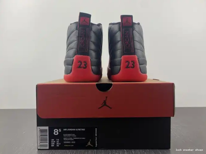Rep LUCY (2016) Jordan Retro Game Flu 12 130690-002 0422